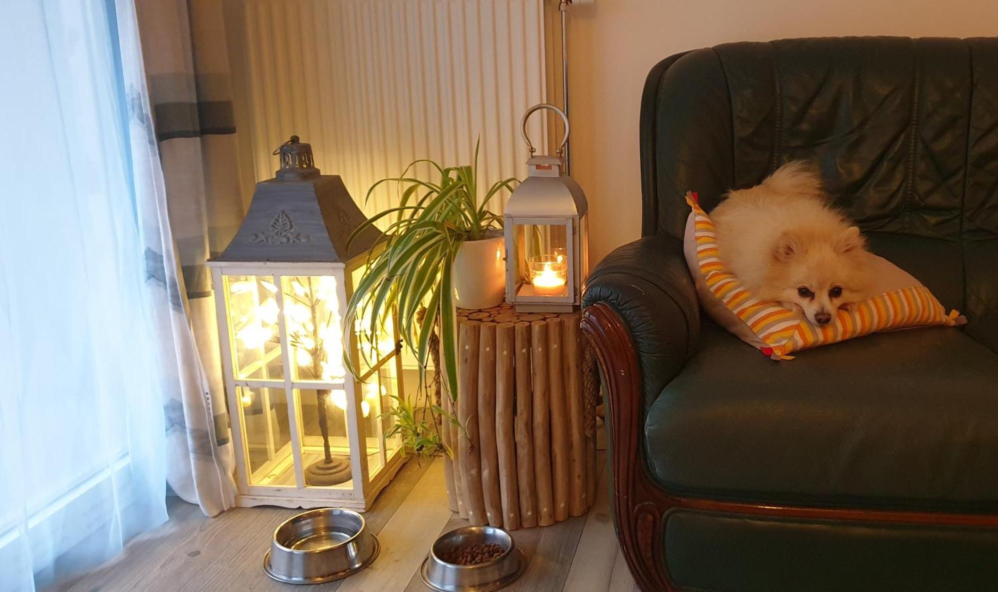 Nergens Apartment Rotterdam Bagian luar foto